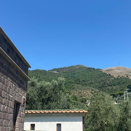 Torre Delle Grazie Sorrento Suite 维克艾库塞 外观 照片